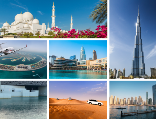 8 Things to Do in UAE !!